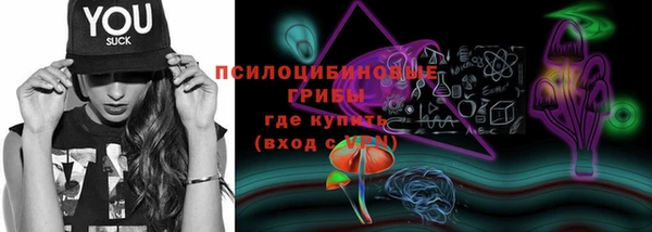мяу мяу мука Арсеньев