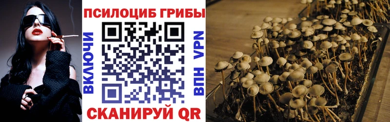 Галлюциногенные грибы Cubensis  Лодейное Поле 